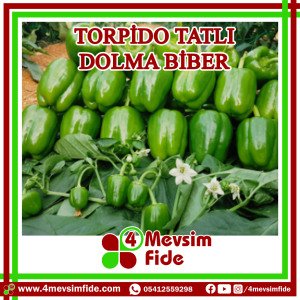 Torpido Dolma Biber Tohumu 1000 Adet