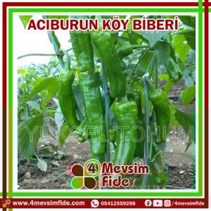 Acıburun Acı Köy Biberi Tohumu 1000 Adet