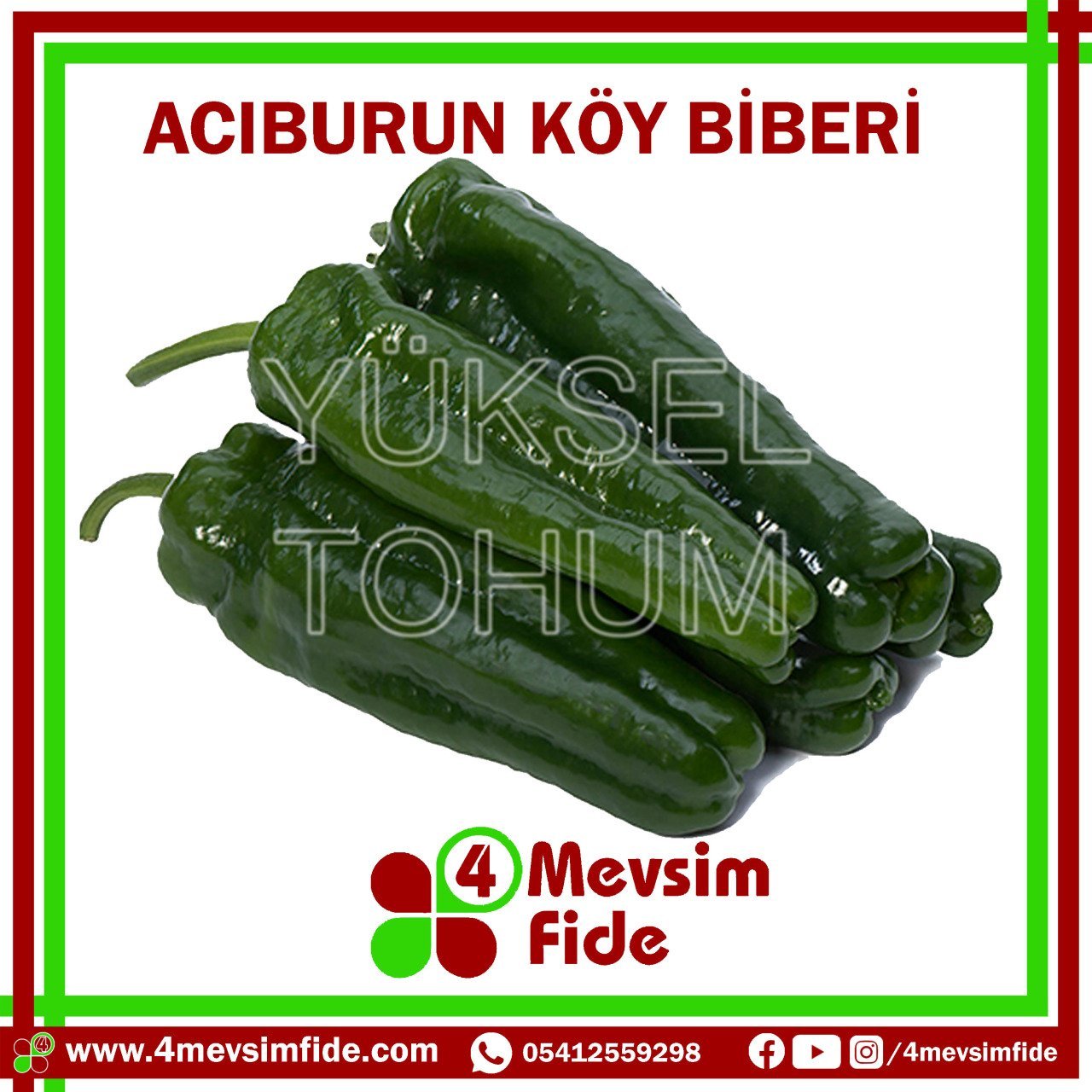 Acıburun Acı Köy Biberi Tohumu 1000 Adet