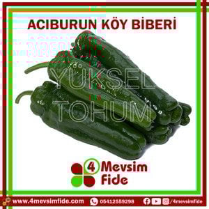 Acıburun Acı Köy Biberi Tohumu 1000 Adet