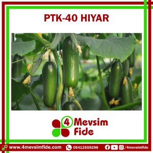 PTK 40 F1 Hıyar Tohumu 500 Adet