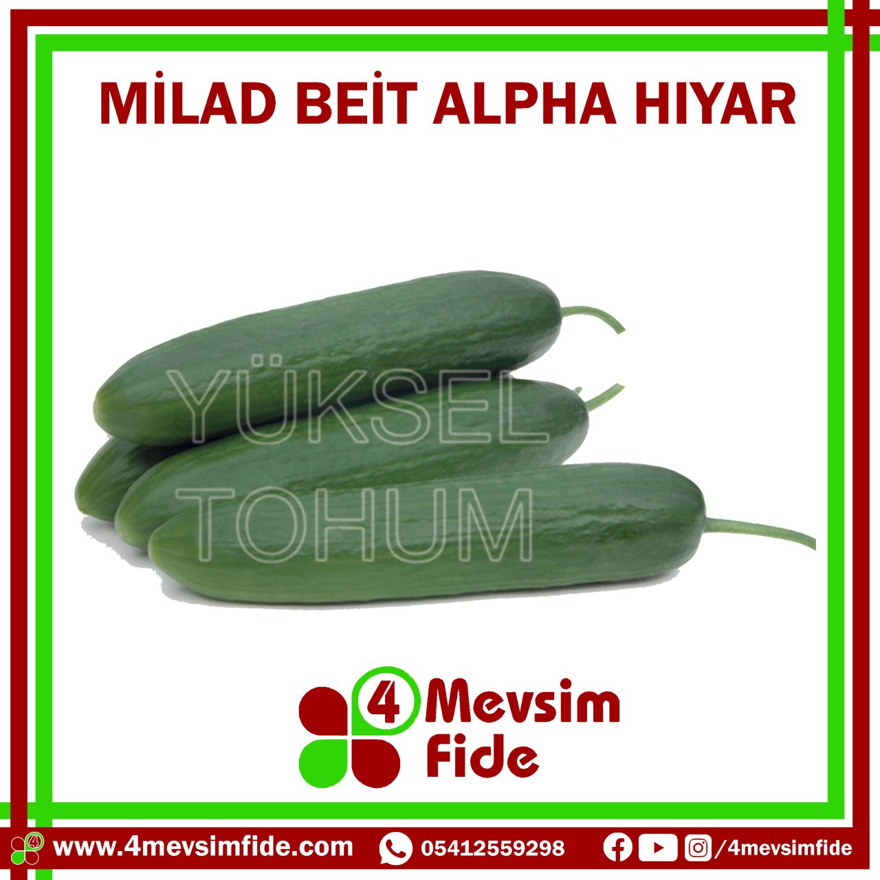 Milad F1 Hıyar Tohumu 1000 Adet