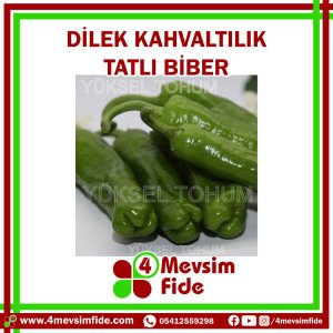 Hobi Biber Üçburun Dilek F1 Biber Fidesi
